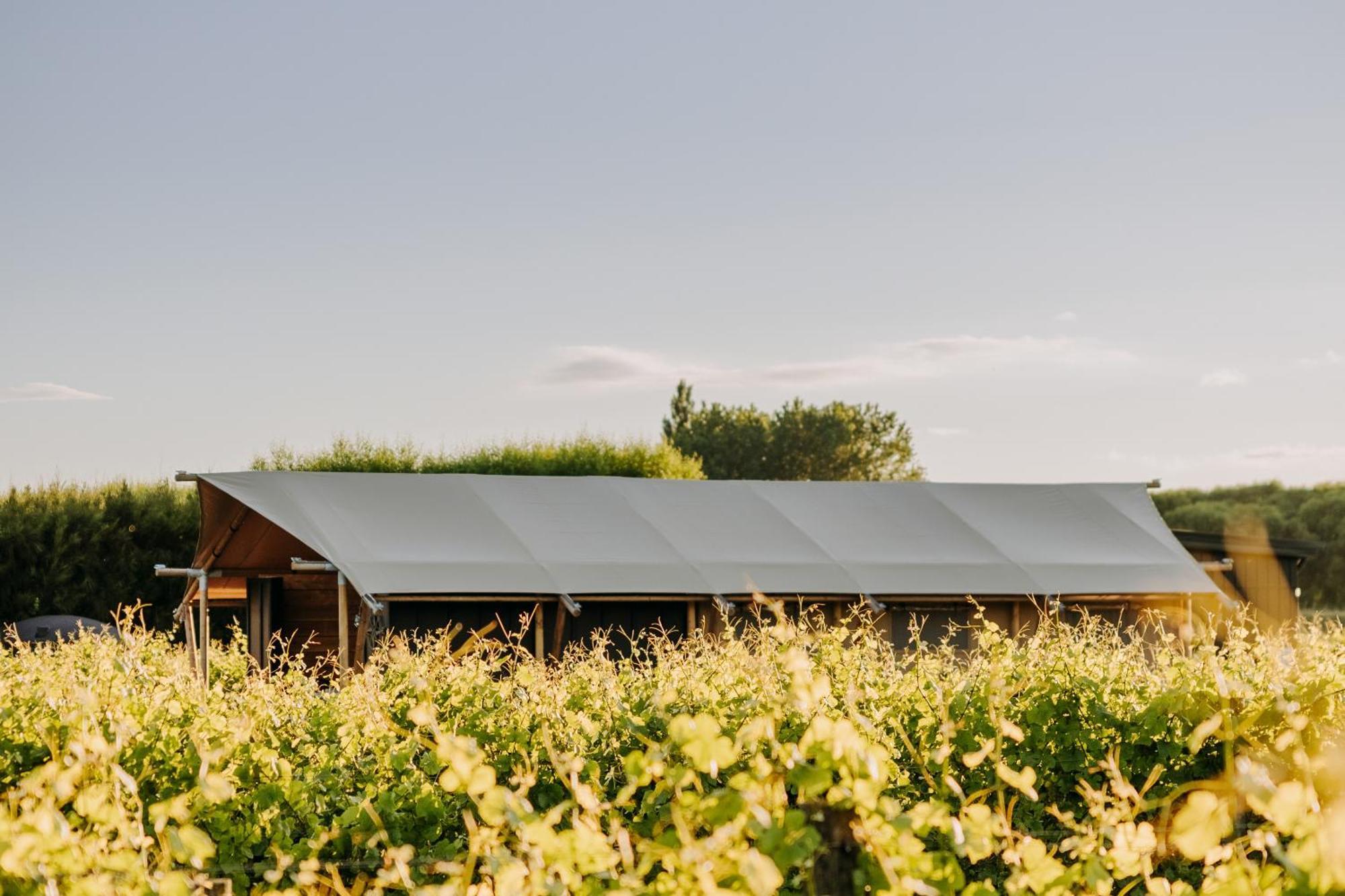 Villas & Vines Glamping Хейстингс Екстериор снимка