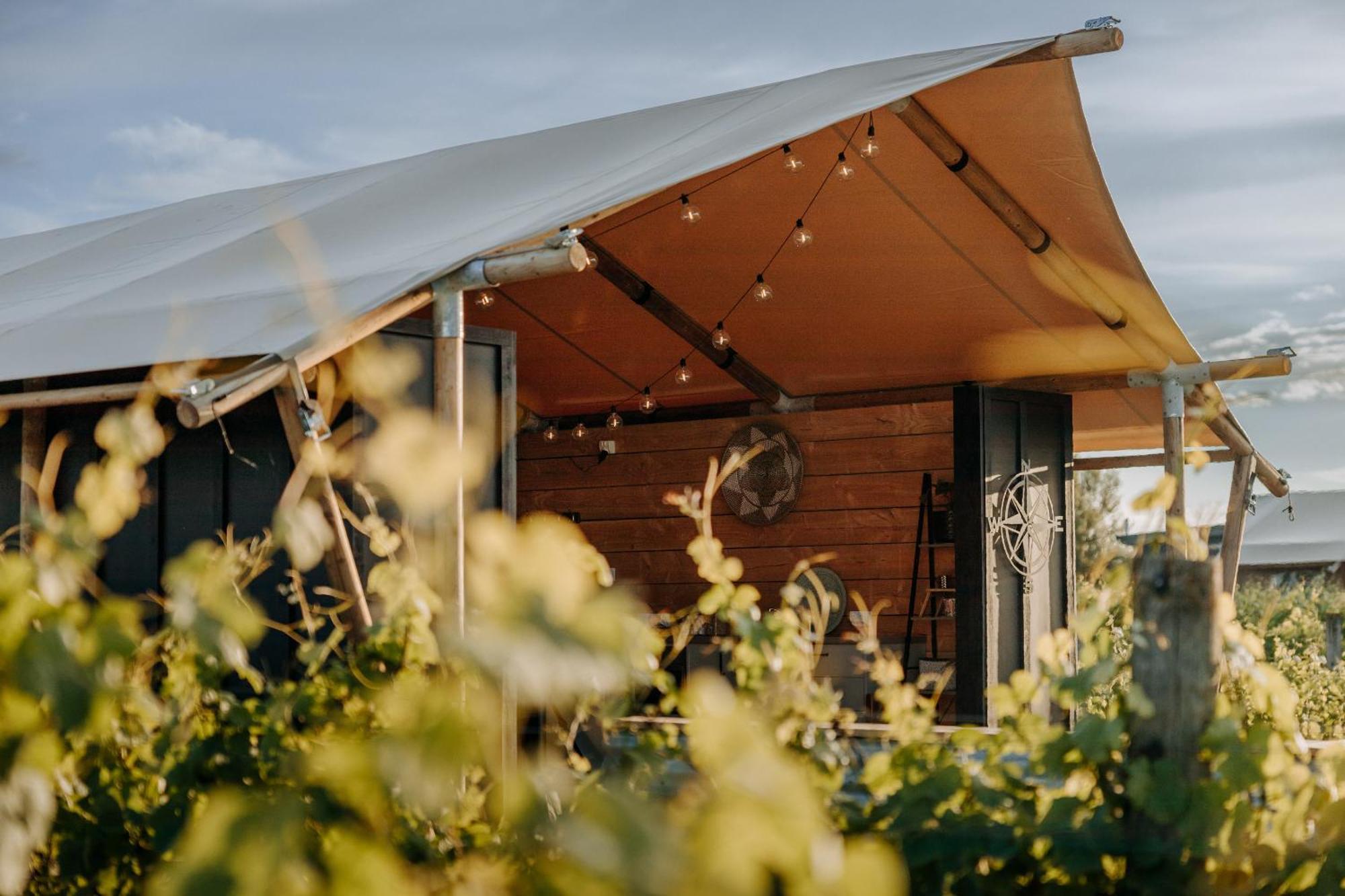 Villas & Vines Glamping Хейстингс Екстериор снимка