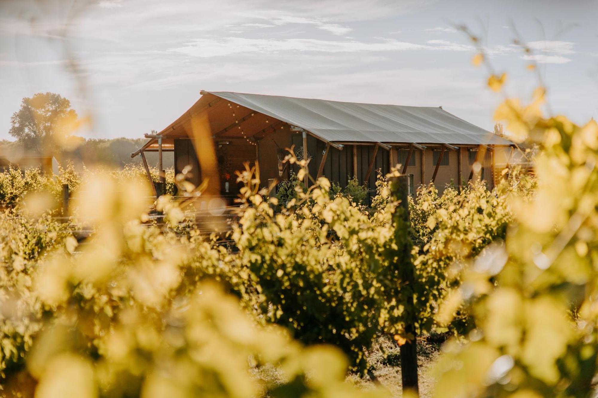 Villas & Vines Glamping Хейстингс Екстериор снимка
