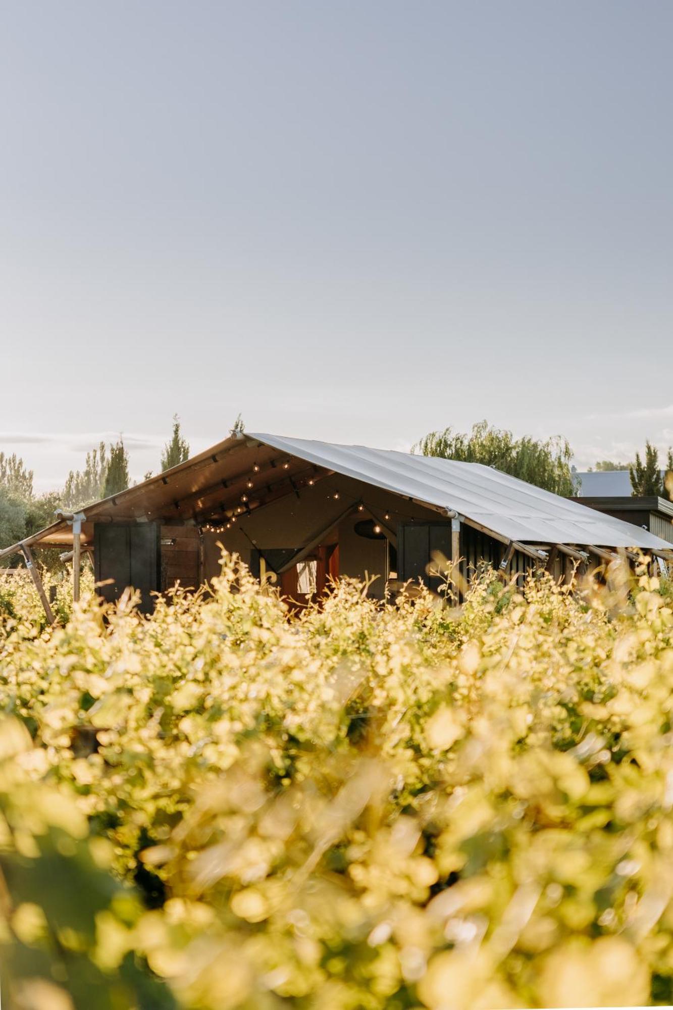 Villas & Vines Glamping Хейстингс Екстериор снимка