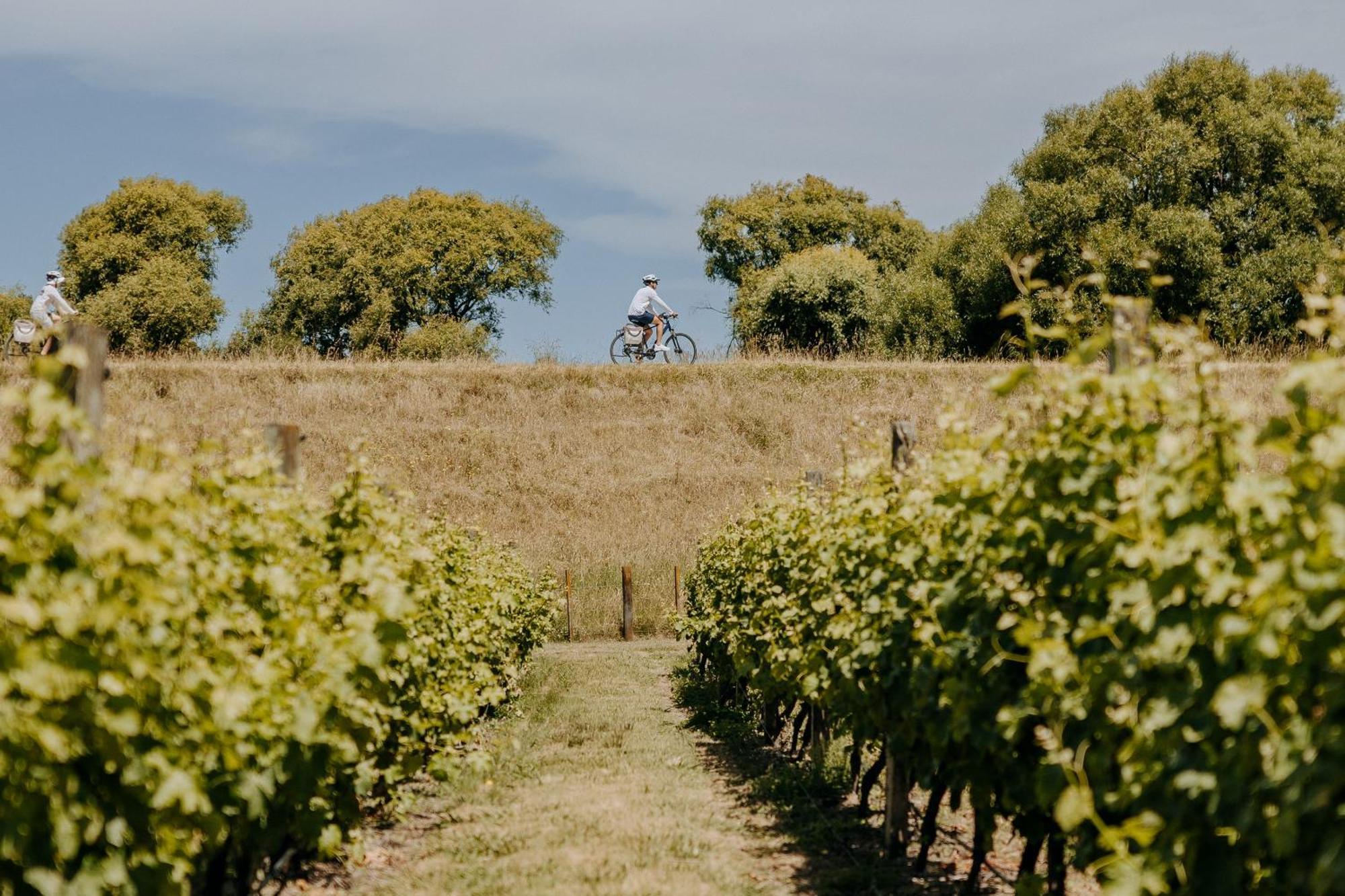Villas & Vines Glamping Хейстингс Екстериор снимка